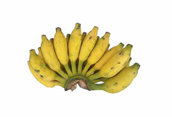 Banana - Kathali kola