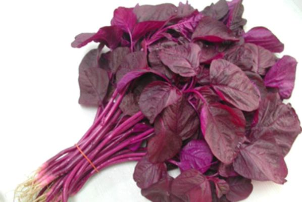 Red Spinach / Lal Sagh