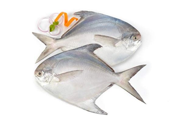 Pomfret Fish (medium size)